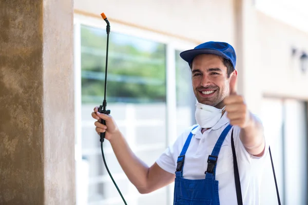 Flower Mound Wasp Removal