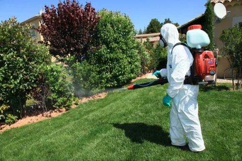 Flower Mound Mosquito Control