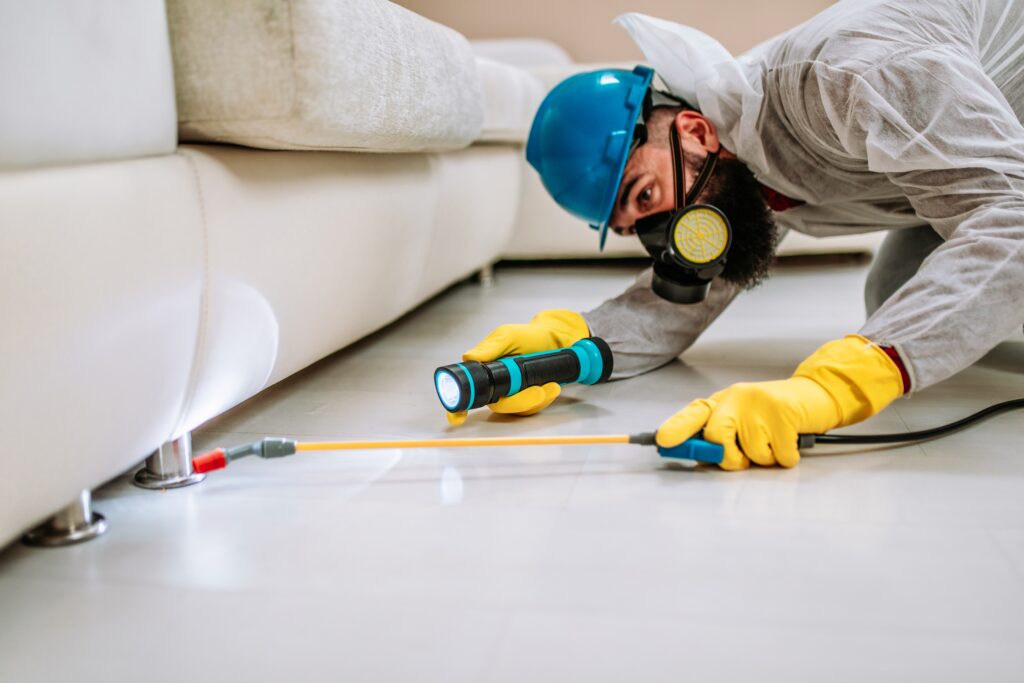 Argyle Termite Control