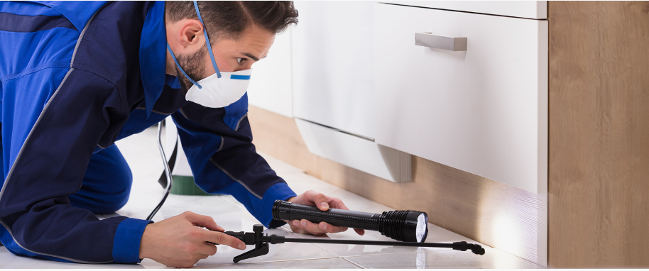 Flower Mound pest xpert removal