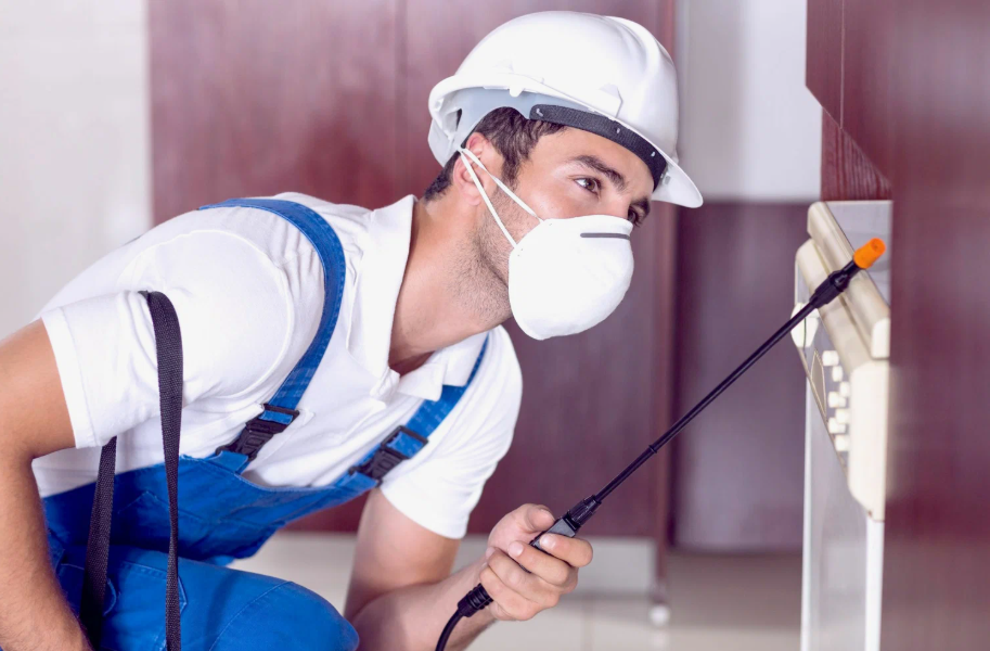 Flower Mound local pest services