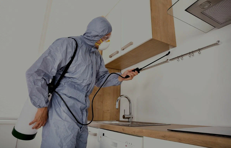 Flower Mound pest managment